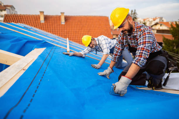 Best Roof Ventilation Installation  in Andrews, TX